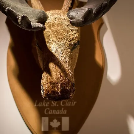 Chalet L'alpaga 2 Les Deux Alpes