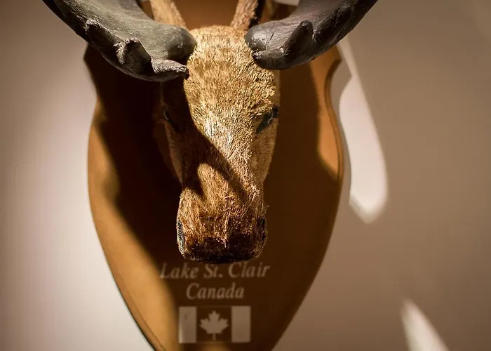 Chalet L'alpaga 2 Les Deux Alpes